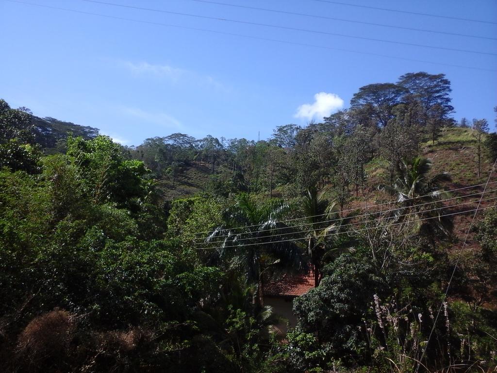 Nature'S Nest Kandy Exterior foto
